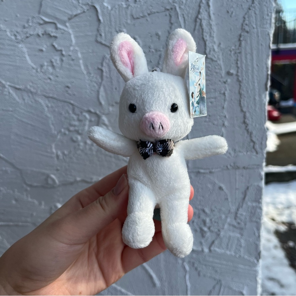 You’re Beautiful Korea Pig Rabbit Keychain!